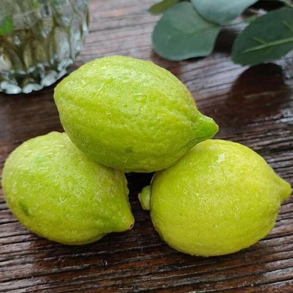 柠檬
